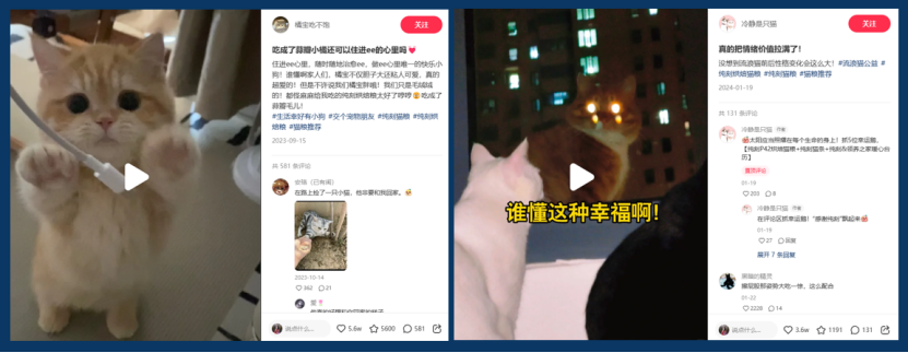 小红书电商自闭环的投产效率如何？怎样布局能快速打爆新品！