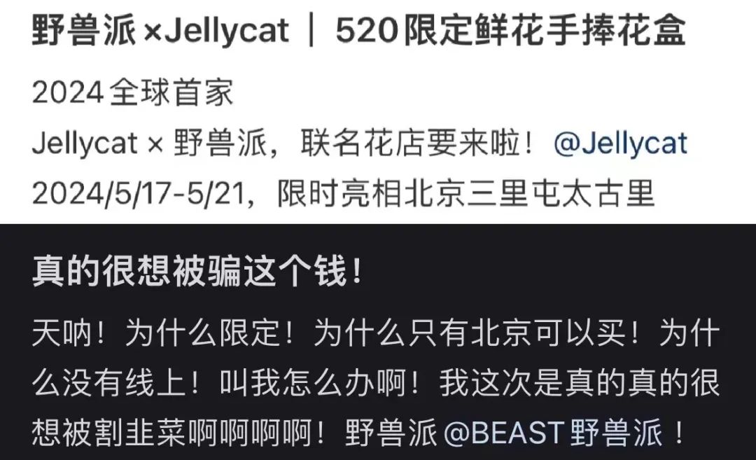 上万多块的联名玩偶被疯抢，Jellycat怎么就成了“无法复制”？