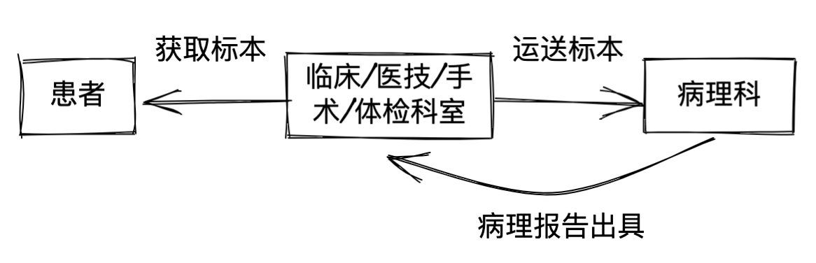 临床业务合集之病理管理